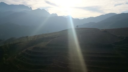 SÂP