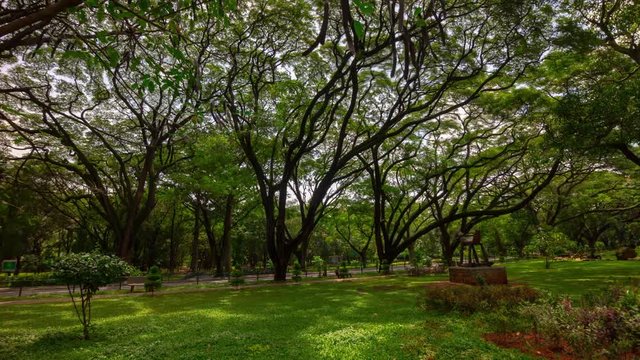 sunny day bangalore city famous central park panorama 4k timelapse india