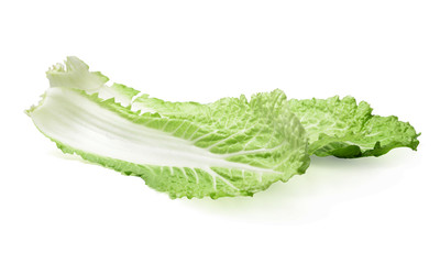 Two leaves of fresh Chinese cabbage. White isolated background. Close-up. Side view.
