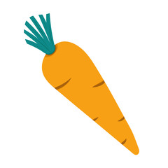 Carrot. Vector Illustration.