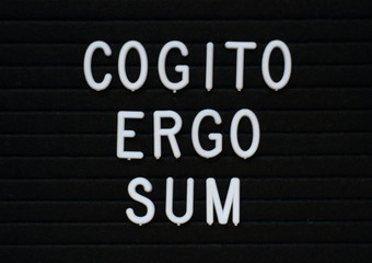The words Cogito Ergo Sum or I think Therefore I Am in white letters on a notice board