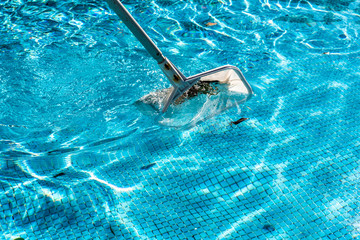 Pool Net Leaf Skimmer Rake in summer.