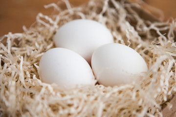 Three white eggs in the nest, close up