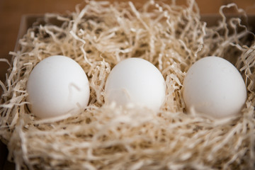 Three white eggs in a row in the nest
