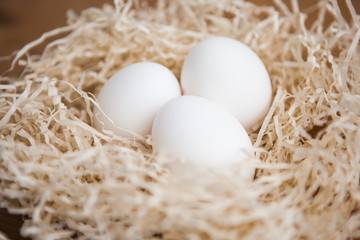 Three white eggs in the nest, close up