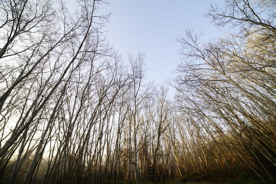paisajes en parques al aire libre
