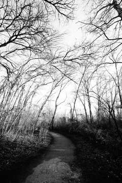 paisajes en parques al aire libre