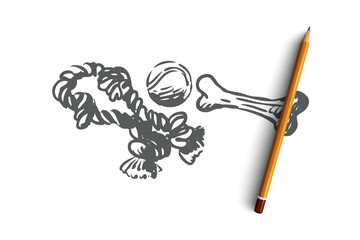 Pet, toys, animal, bone, care, ball concept. Hand drawn isolated vector.