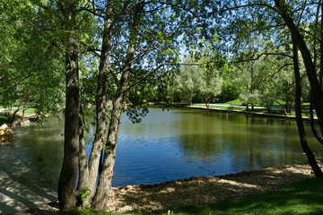Pond