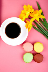 Colorful flat lay with flowers narcissus macaroons and coffee