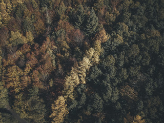 Autumn in the Peak District