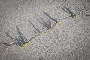 Crack in dry sand forming a rising graph line