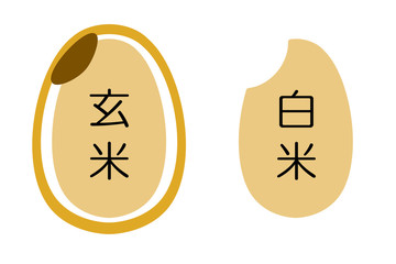 玄米と白米