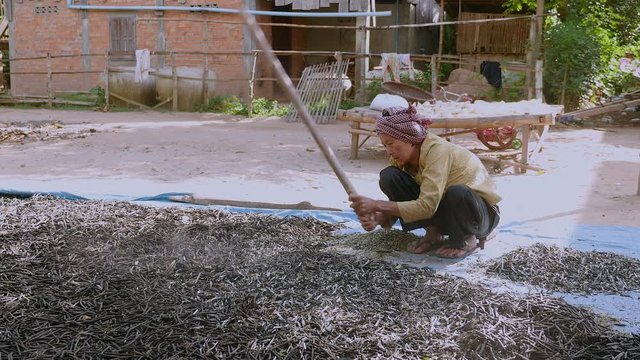 Manual crushing of dried beans with a wooden stick (close-up)	