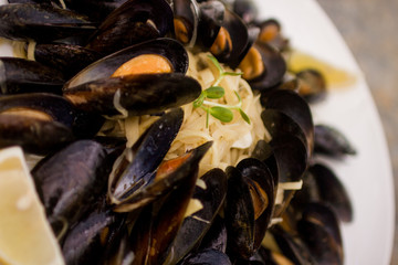 mussels on plate