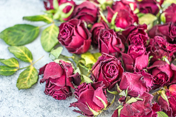 Dried red rose buds, dried roses with leaves on a stone background, dried rose buds in the form of an ornament