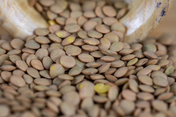 Green Lentil