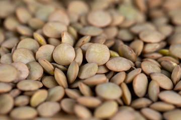 Green Lentil