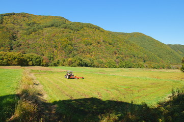 Tractor Mowing harvest Grass