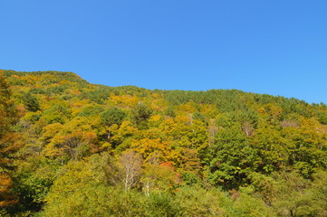 Mountains of autumn of Japan