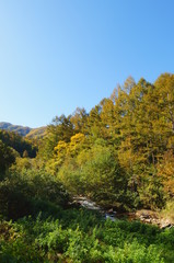 Fototapeta na wymiar Mountains of autumn of Japan