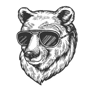 Bear Animal In Sunglasses Sketch Engraving Vector Illustration. Scratch Board Style Imitation. Black And White Hand Drawn Image.