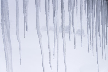 Looking outside thru icicles and the snow.