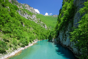 Fototapeta premium Tara river canyon, Montenegro.