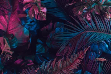 Fotobehang Creatieve fluorescerende kleurlay-out gemaakt van tropische bladeren. Platliggende neonkleuren. Natuur concept. © Zamurovic Brothers