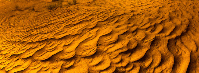 Sand in the desert like yellow scales of Earth