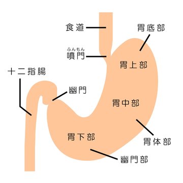 Cardia Bilder Durchsuchen 818 Archivfotos, und Videos