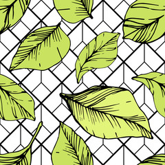Vector Blueberry green and black engraved ink art. Green leaves. Seamless background pattern.