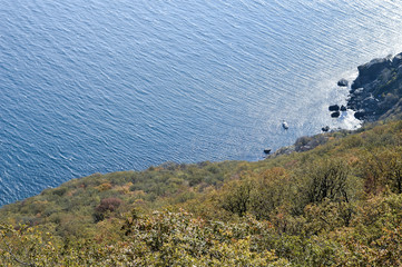 Coast from a height. Stones on the shore, green forest.