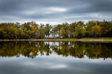 Fototapeta na wymiar mirror lake in the forest