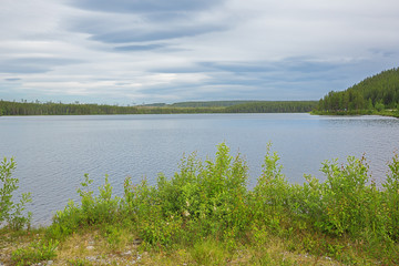 Polar circle near Jokkmokk on the E45