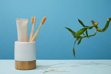 holder with toothbrushes, toothpaste in tube, ear sticks and green bamboo stem on table and blue background