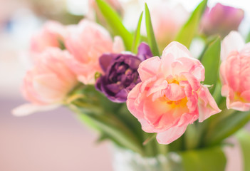 A bouquet of pink and violet tulips