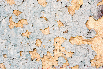 Texture of an old wall, paint. 