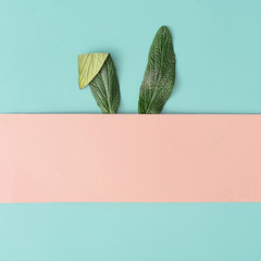 Happy Easter minimal concept. Bunny rabbit ears made of natural green leaves on pastel pink and...