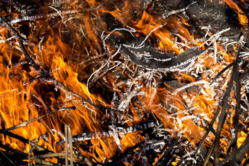 The old wooden house burns. Fire close-up, the boards are burning