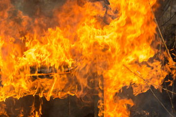 The old wooden house burns. Fire close-up, the boards are burning