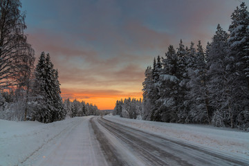 the winter in Lapland, Norrbotten, north of Sweden, a road with frozen trees with snow © paolo maria airenti