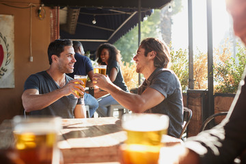 Two Male Friends Meeting In Sports Bar Making Toast Together