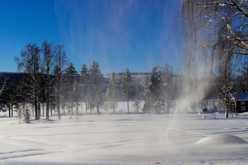 the winter in Lapland, Norrbotten, north of Sweden, frozen trees with snow