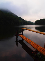 Wood bridge