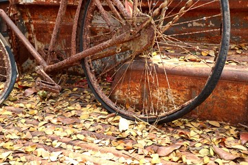 Old bike rust vintage