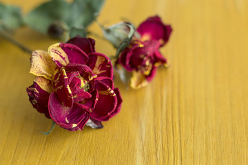 Fototapeta na wymiar Red roses on wooden background. Springtime