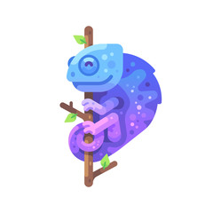 Blue and purple chameleon sitting on a tree branch