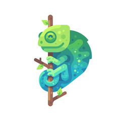 Green and blue chameleon sitting on a tree branch