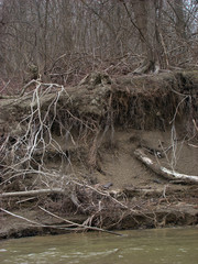 Travel through the wild places where we will relax in 2019